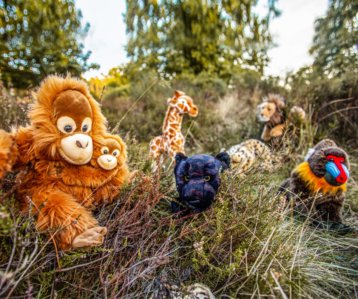 exotische-tiere