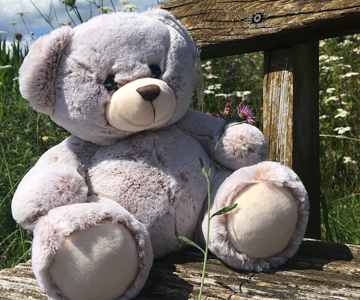 teddys