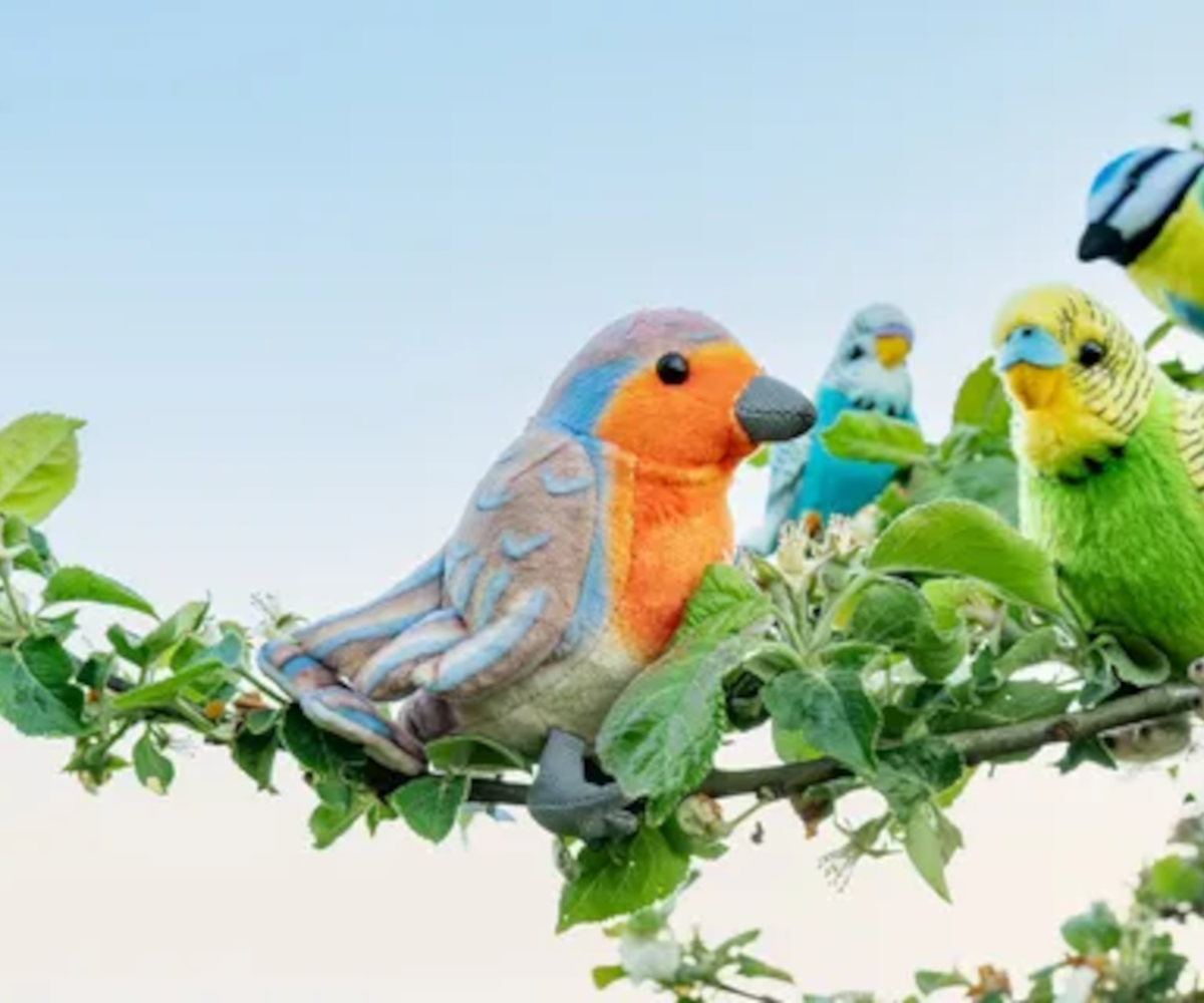 vogel_1200_1000