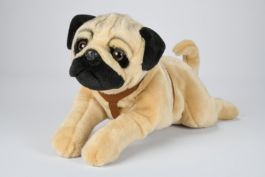 40cm lang Uni-Toys Neuware wunderschöner Hund Mops mit Geschirr ca 