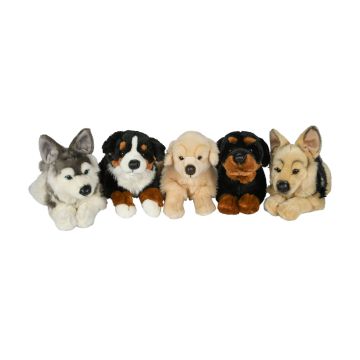 Dog 5 asst. 40cm (length) - 5 asst.-PU 20 pcs