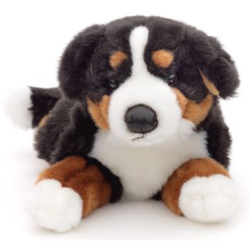 Berner Sennenhund, liegend - 46 cm (Länge) -- Plüsch-Hund