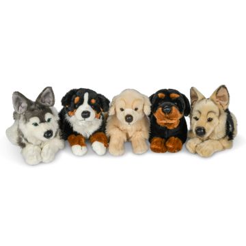 Dogs 5 asst., lying - 29 cm - PU 48 pcs