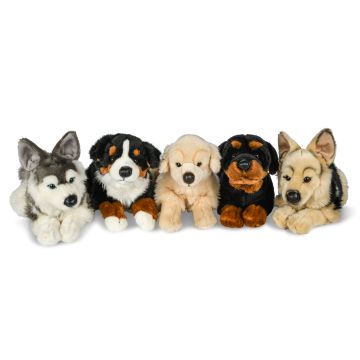 Dogs 5 asst. lying down - approx. 38 cm (length) -PU 45 pcs