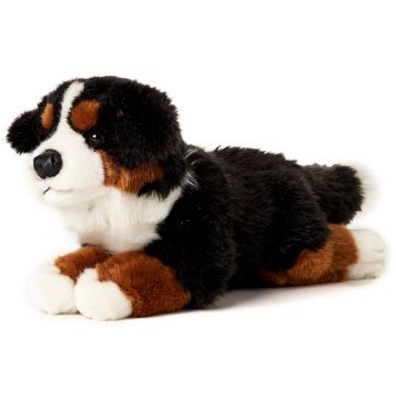 Berner Sennenhund, liegend - 38 cm (Länge) -- Plüsch-Hund