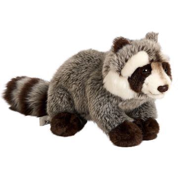 Waschbär - 23 cm (Länge)