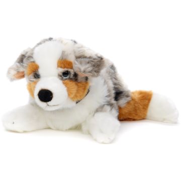 Australischer Schäferhund, liegend (mit Halsband) - 40 cm (Länge) -- Plüsch-Hund