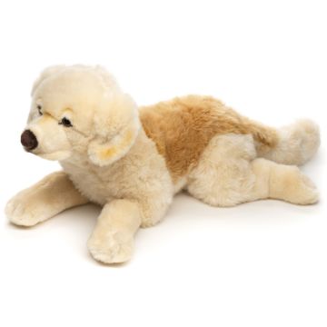 Golden Retriever, liegend (ohne Geschirr) - 60 cm (Länge) -- Plüsch-Hund