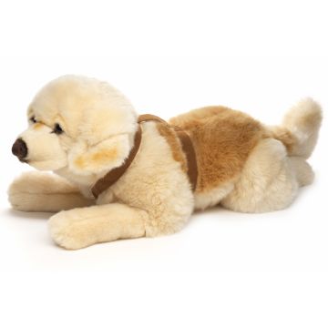 Golden Retriever, liegend (mit Geschirr) - 60 cm (Länge) -- Plüsch-Hund