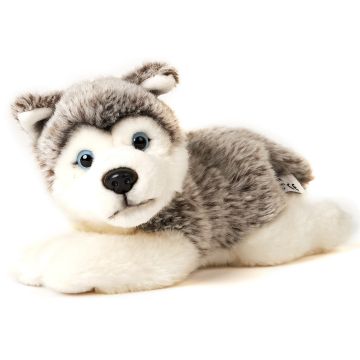 Husky Welpe grau, liegend - 23 cm (Länge) -- Plüsch-Hund