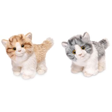 Katze 2 F.sort. - VE 80St.