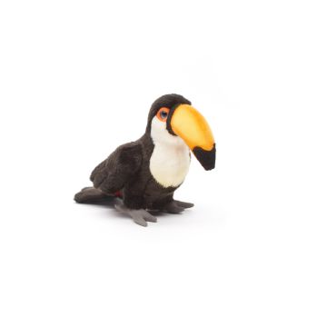 Riesentukan - 18 cm (Höhe)