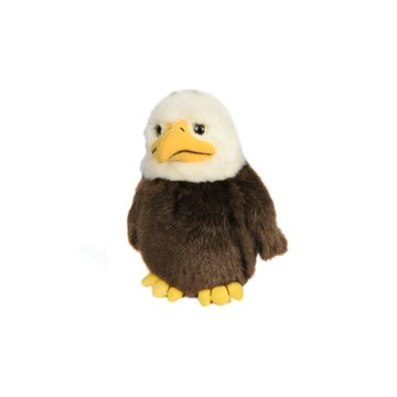 Bald eagle baby - 18 cm (height)