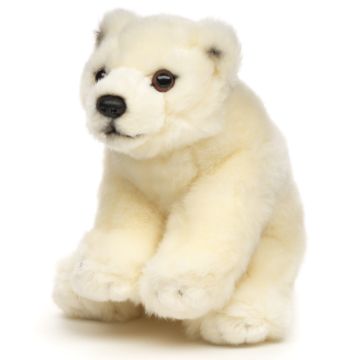 Eisbär Junges, stehend - 19 cm (Länge)