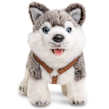 Husky Welpe grau, stehend (mit Geschirr) - 24 cm (Länge) -- Plüsch-Hund