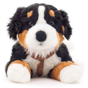 Berner Sennenhund, liegend (mit Geschirr) - 62 cm (Länge) -- Plüsch-Hund