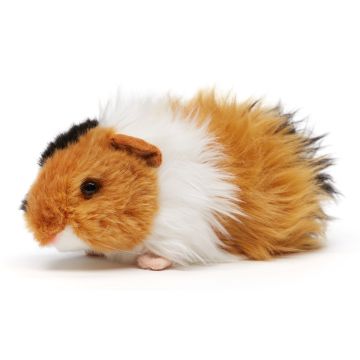 Meerschweinchen 7,5" a 144St.