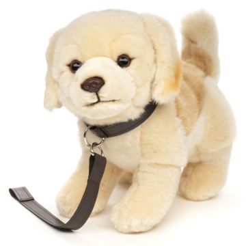 Golden Retriever Welpe, stehend - Mit Leine - 22 cm (Höhe) -- Plüsch-Hund