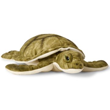 Grüne Meeresschildkröte - 34 cm (Länge) -- Plüsch-Schildkröte