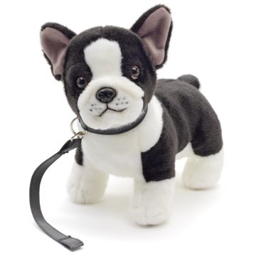 Französische Bulldogge (schwarz-weiß) - Mit Leine - 25 cm (Länge) -- Plüsch-Hund, Dogge