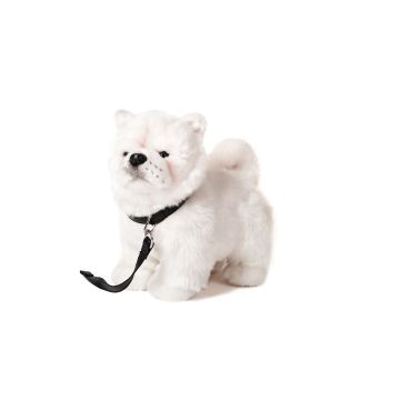 Chow Chow weiß, stehend - Mit Leine - 24 cm (Höhe)
