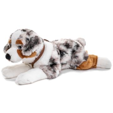 Australischer Schäferhund, liegend (mit Geschirr) - 63 cm (Länge) -- Plüsch-Hund