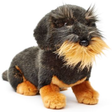 Rauhaardackel, sitzend (ohne Leine) - 22 cm (Höhe) -- Plüsch-Hund, Dackel