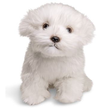 Malteser Hund (ohne Leine) - 26 cm (Länge)