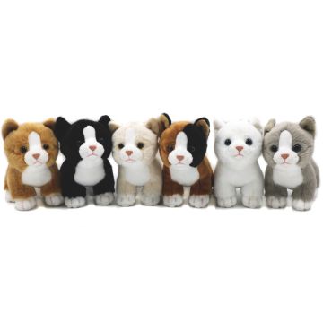 Katzen-Babys (6-teilig), stehend  - je 13 cm (Höhe)