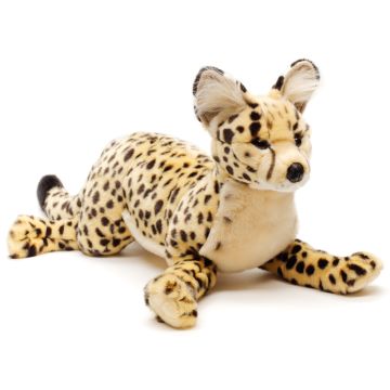 Savannah-Katze, liegend - Serval - 60 cm (Länge)
