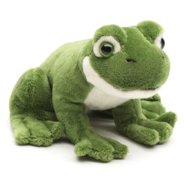 Grüner Frosch Plushie - 13 cm (Länge)