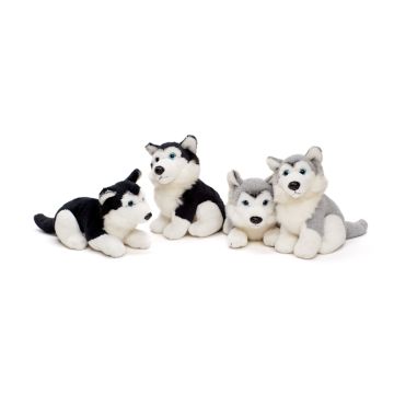 Husky Plushie, sitzend