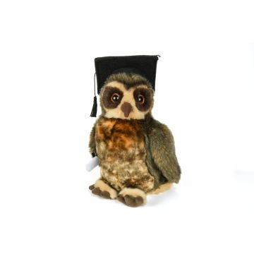 Eule mit Doktorhut und Zeugnisrolle (braun-beige) - 23 cm (Höhe)
