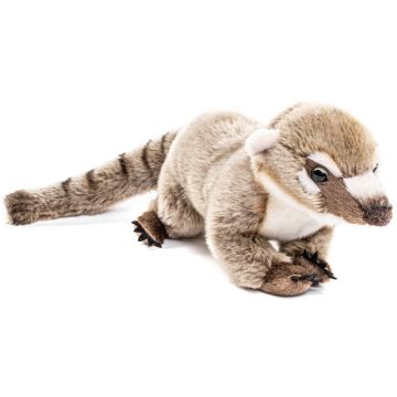 Nasenbär, stehend - 29 cm (Länge) -- Plüsch-Bär