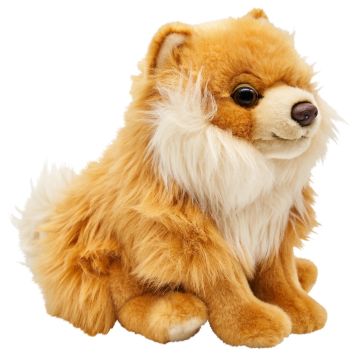 Zwergspitz, sitzend (ohne Leine) - 23 cm (Höhe) -- Plüsch-Hund, Spitz