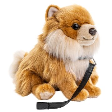 Zwergspitz, sitzend (mit Leine) - 23 cm (Höhe) -- Plüsch-Hund, Spitz