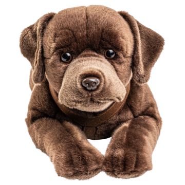 Labrador, liegend, mit Geschirr (braun) - 60 cm (Länge) -- Plüsch-Hund