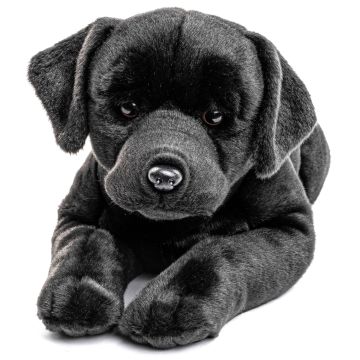 Labrador, liegend, mit Geschirr (schwarz) - 60 cm (Länge) -- Plüsch-Hund