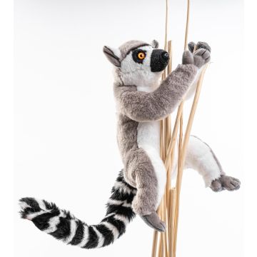 Katta-Lemur (mit Klettverschluss) - 21 cm (Höhe) -- Plüsch-Affe