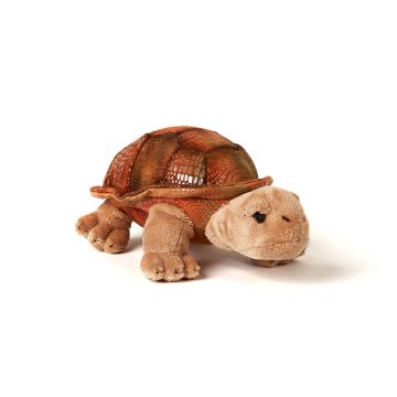Riesenschildkröte, klein - 21 cm (Länge)