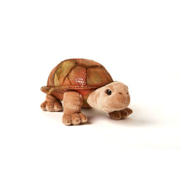 Riesenschildkröte, groß - 31 cm (Länge)