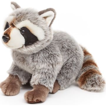 Waschbär, sitzend - 25 cm (Länge)