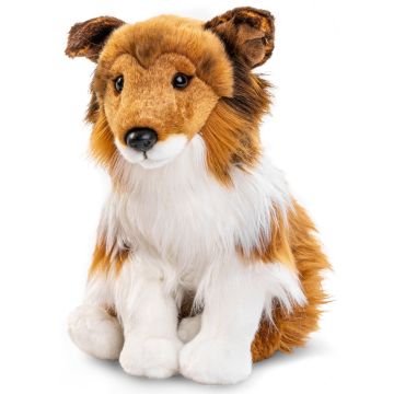 Langhaarcollie, sitzend (ohne Leine) - Gesicht braun - 27 cm (Höhe)