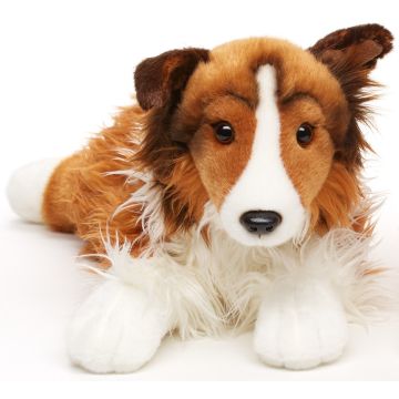 Langhaarcollie, liegend - 41 cm (Länge) -- Plüsch-Hund, Collie