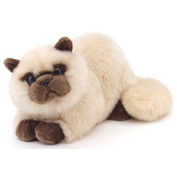 Perserkatze, liegend (beige) - 31 cm (Länge) -- Plüsch-Katze, Siamkatze