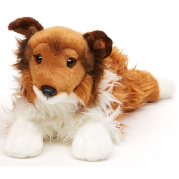 Langhaarcollie, liegend - Gesicht braun - 41 cm (Länge)