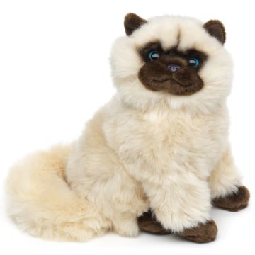 Perserkatze, sitzend (beige) - 25 cm (Höhe) -- Plüsch-Katze, Siamkatze