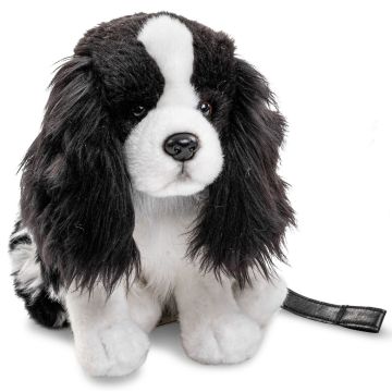 Cocker Spaniel (with Leash) - black and white - 23 cm (height) -- Plush Dog
