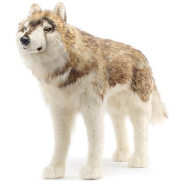 Wolf, stehend - 94 cm (Länge)