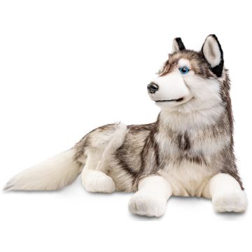 Husky, liegend - 100 cm (Länge) -- Plüsch-Hund